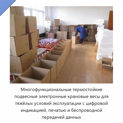 Многофункциональные термостойкие подвесные электронные крановые весы для тяжёлых условий эксплуатации с цифровой индикацией, печатью и беспроводной передачей данных