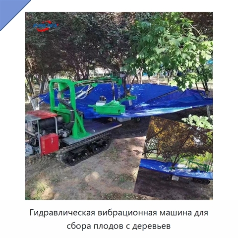 Гидравлическая вибрационная машина для сбора плодов с деревьев