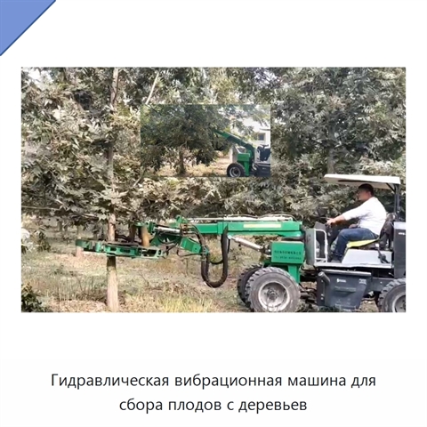 Гидравлическая вибрационная машина для сбора плодов с деревьев