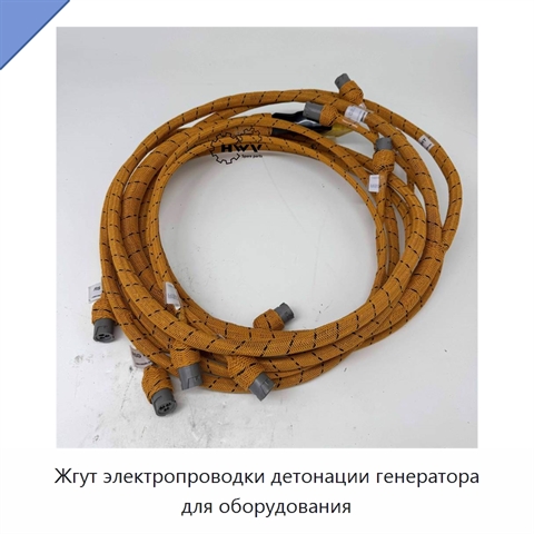 Жгут электропроводки детонации генератора для оборудования