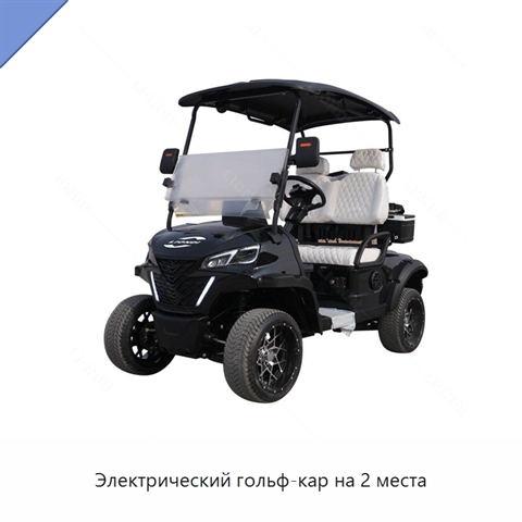 Электрический гольф-кар на 2 места