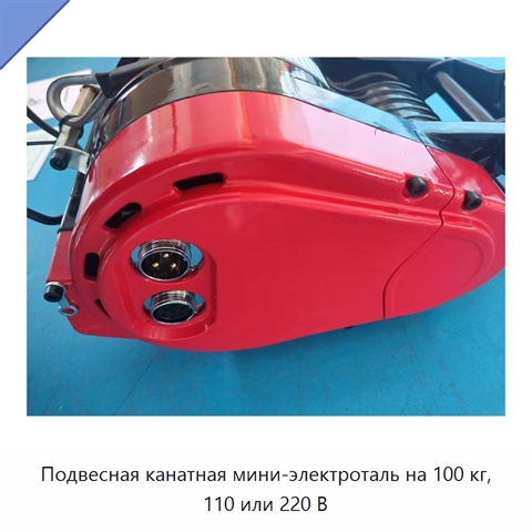 Подвесная канатная мини-электроталь на 100 кг, 110 или 220 В
