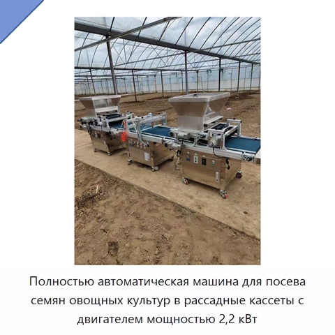 Полностью автоматическая машина для посева семян овощных культур в рассадные кассеты с двигателем мощностью 2,2 кВт