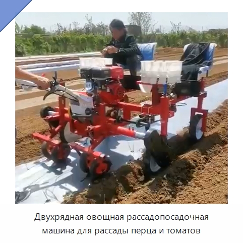 Двухрядная овощная рассадопосадочная машина для рассады перца и томатов — Сельскохозяйственные машины