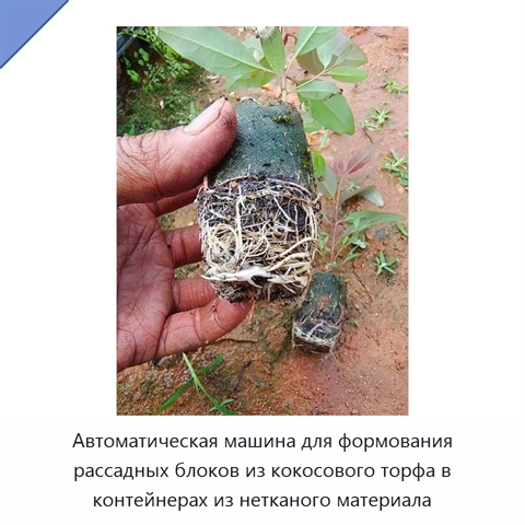 Автоматическая машина для формования рассадных блоков из кокосового торфа в контейнерах из нетканого материала