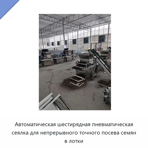 Автоматическая шестирядная пневматическая сеялка для непрерывного точного посева семян в лотки
