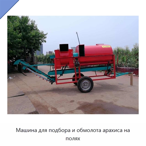 Машина для подбора и обмолота арахиса на полях