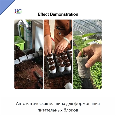 Автоматическая машина для формования питательных блоков