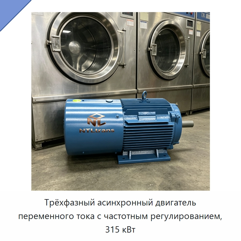 Трёхфазный асинхронный двигатель переменного тока с частотным регулированием, 315 кВт — Электродвигатели переменного тока