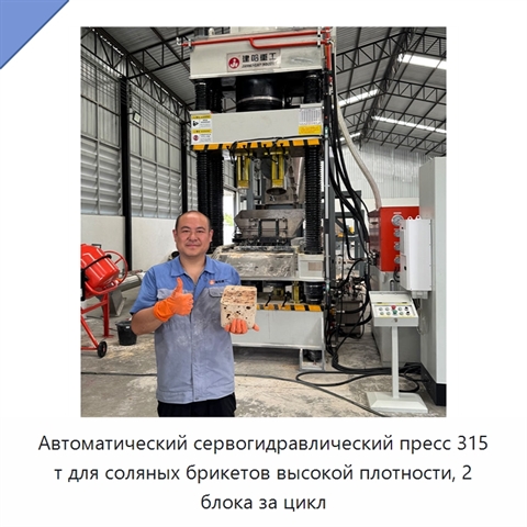 Автоматический сервогидравлический пресс 315 т для соляных брикетов высокой плотности, 2 блока за цикл