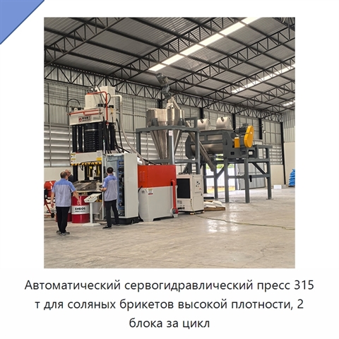 Автоматический сервогидравлический пресс 315 т для соляных брикетов высокой плотности, 2 блока за цикл