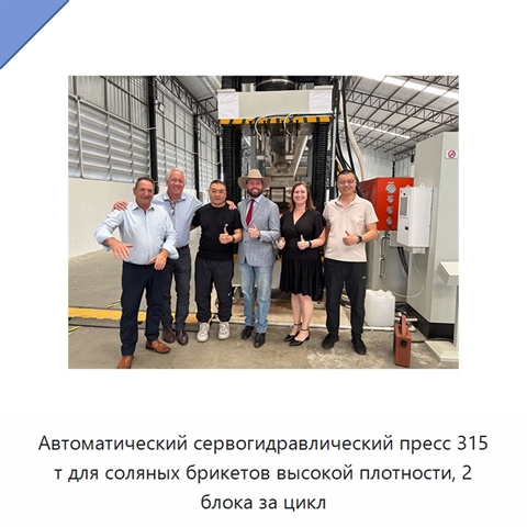 Автоматический сервогидравлический пресс 315 т для соляных брикетов высокой плотности, 2 блока за цикл