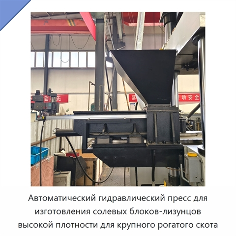 Автоматический гидравлический пресс для изготовления солевых блоков-лизунцов высокой плотности для крупного рогатого скота