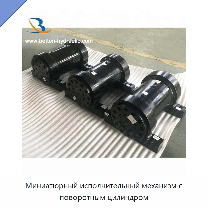 Миниатюрный исполнительный механизм с поворотным цилиндром — Цилиндры