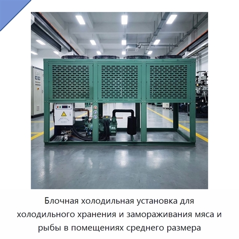 Блочная холодильная установка для холодильного хранения и замораживания мяса и рыбы в помещениях среднего размера