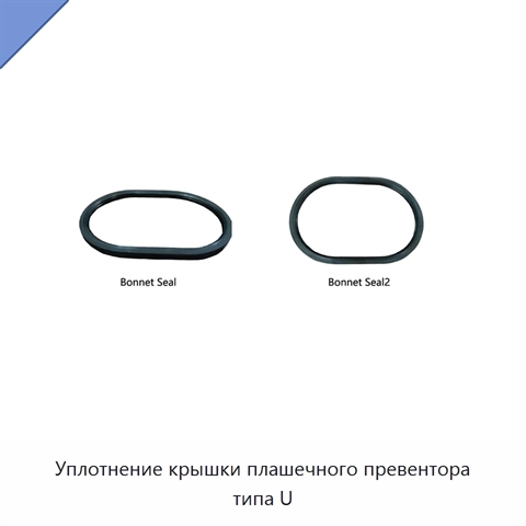 Уплотнение крышки плашечного превентора типа U