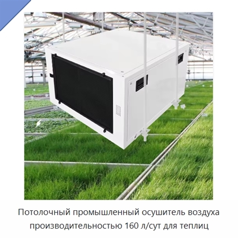 Потолочный промышленный осушитель воздуха производительностью 160 л/сут для теплиц