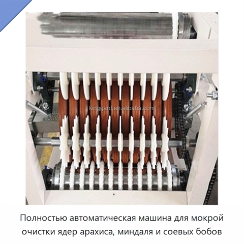 Полностью автоматическая машина для мокрой очистки ядер арахиса, миндаля и соевых бобов