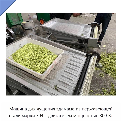 Машина для лущения эдамаме из нержавеющей стали марки 304 с двигателем мощностью 300 Вт