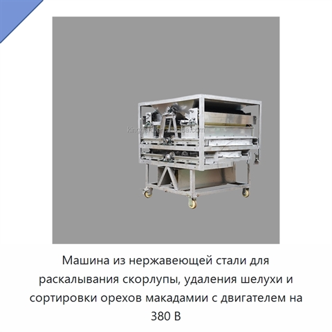 Машина из нержавеющей стали для раскалывания скорлупы, удаления шелухи и сортировки орехов макадамии с двигателем на 380 В