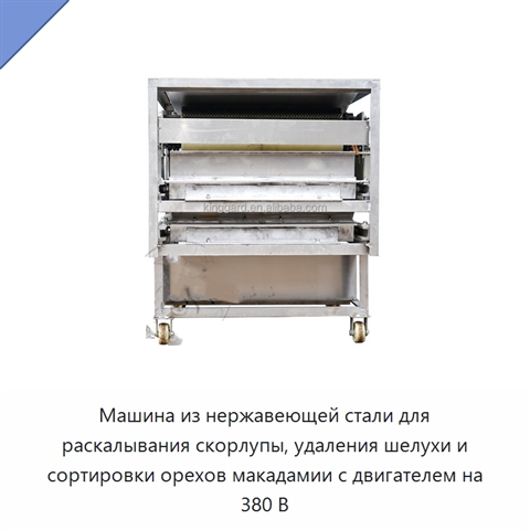 Машина из нержавеющей стали для раскалывания скорлупы, удаления шелухи и сортировки орехов макадамии с двигателем на 380 В
