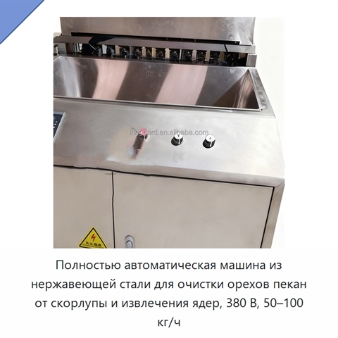 Полностью автоматическая машина из нержавеющей стали для очистки орехов пекан от скорлупы и извлечения ядер, 380 В, 50–100 кг/ч