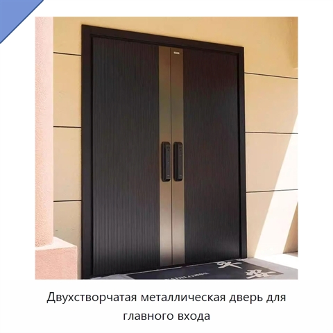 Двухстворчатая металлическая дверь для главного входа