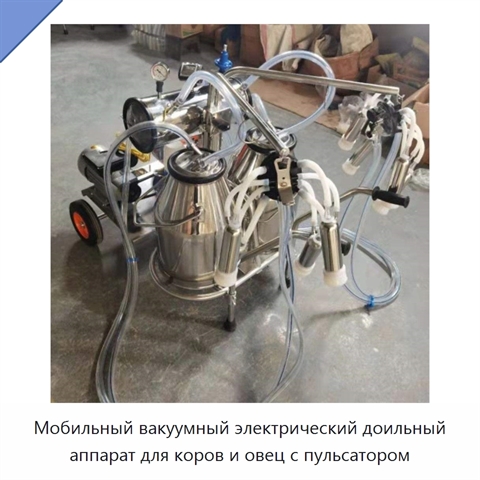 Мобильный вакуумный электрический доильный аппарат для коров и овец с пульсатором